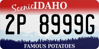 ID license plate 2P8999G