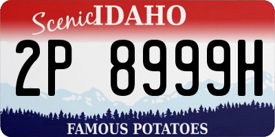 ID license plate 2P8999H