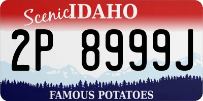 ID license plate 2P8999J
