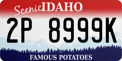 ID license plate 2P8999K