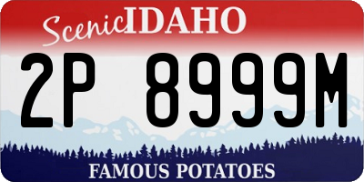 ID license plate 2P8999M