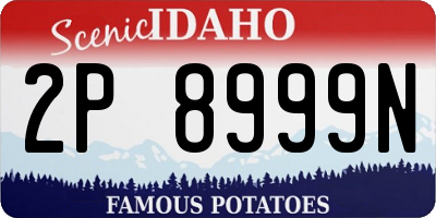 ID license plate 2P8999N