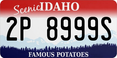 ID license plate 2P8999S