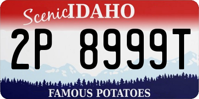 ID license plate 2P8999T