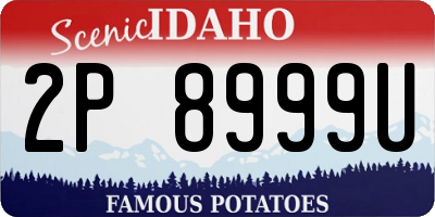 ID license plate 2P8999U