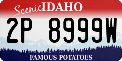 ID license plate 2P8999W