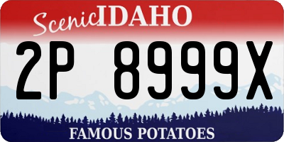 ID license plate 2P8999X