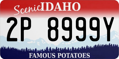 ID license plate 2P8999Y