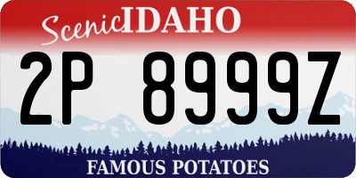 ID license plate 2P8999Z