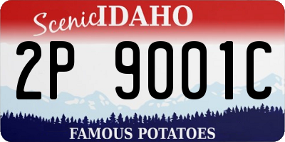 ID license plate 2P9001C