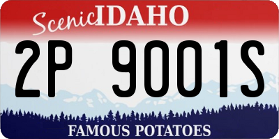ID license plate 2P9001S