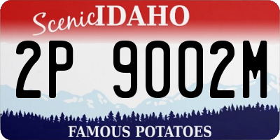 ID license plate 2P9002M