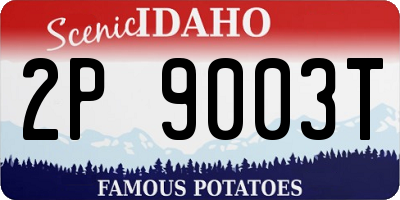 ID license plate 2P9003T