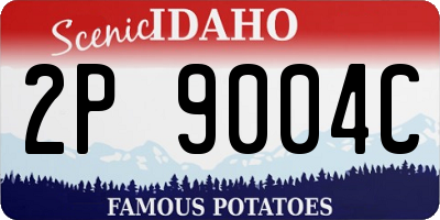 ID license plate 2P9004C