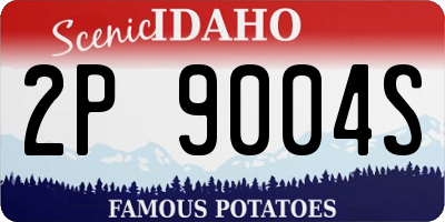 ID license plate 2P9004S