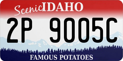 ID license plate 2P9005C