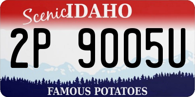 ID license plate 2P9005U