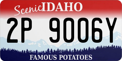 ID license plate 2P9006Y