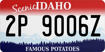 ID license plate 2P9006Z