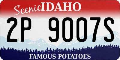 ID license plate 2P9007S