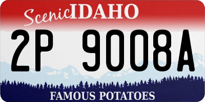ID license plate 2P9008A