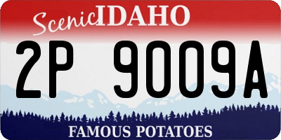 ID license plate 2P9009A