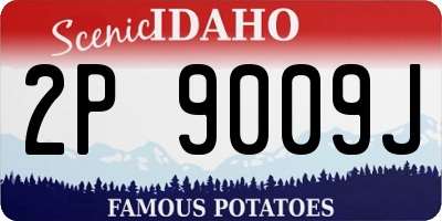 ID license plate 2P9009J