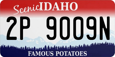 ID license plate 2P9009N