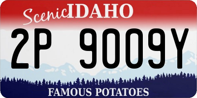 ID license plate 2P9009Y