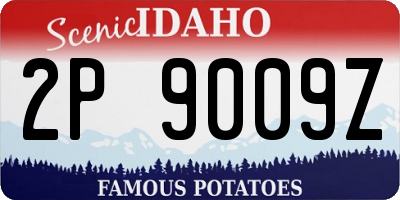 ID license plate 2P9009Z