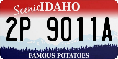 ID license plate 2P9011A