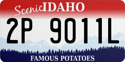 ID license plate 2P9011L