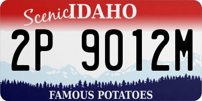 ID license plate 2P9012M