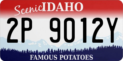 ID license plate 2P9012Y