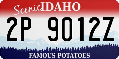 ID license plate 2P9012Z