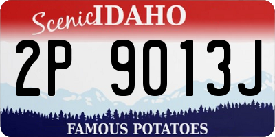 ID license plate 2P9013J
