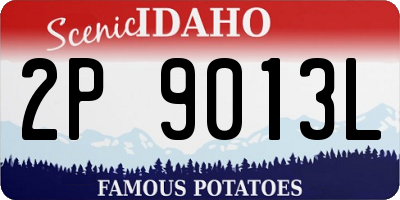 ID license plate 2P9013L