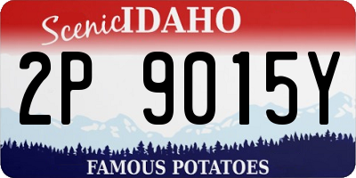 ID license plate 2P9015Y
