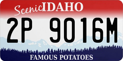 ID license plate 2P9016M