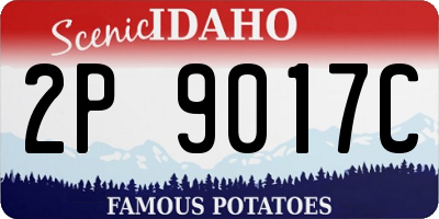 ID license plate 2P9017C