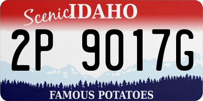 ID license plate 2P9017G