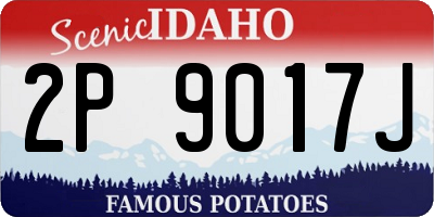 ID license plate 2P9017J