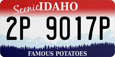 ID license plate 2P9017P