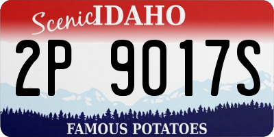 ID license plate 2P9017S