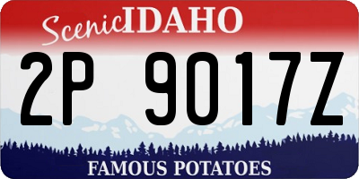ID license plate 2P9017Z