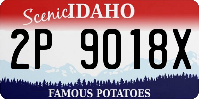 ID license plate 2P9018X