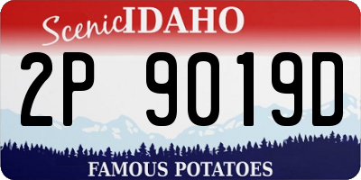 ID license plate 2P9019D
