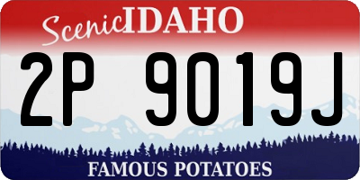 ID license plate 2P9019J