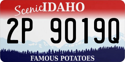 ID license plate 2P9019Q