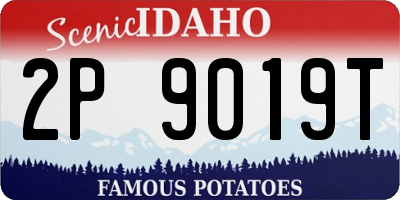 ID license plate 2P9019T